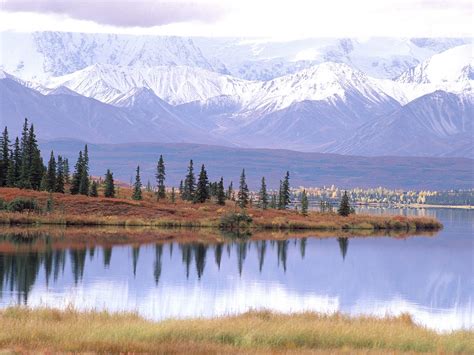 La Tundra En Alaska Libera Cada Vez Más C02 Dice Estudio Udg Tv