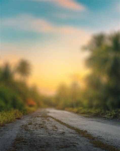 Nature Blur Portrait Background Hd Hd Blur Background