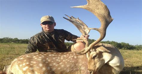 Fallow Deer Hunting In Texas Lone Star Premier Outdoors