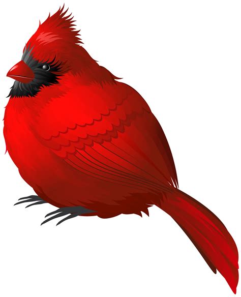 Banner Transparent Birds Svg Cardinal Free Cardinal S