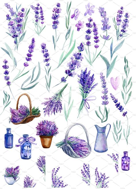 Lavender Watercolor Floral Watercolor Watercolor Flowers Watercolor