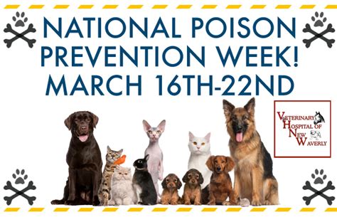 National Poison Prevention Week For Pets