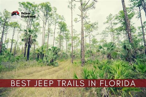 The 9 Best Off Road Jeep Trails In Florida Driver Illustrated