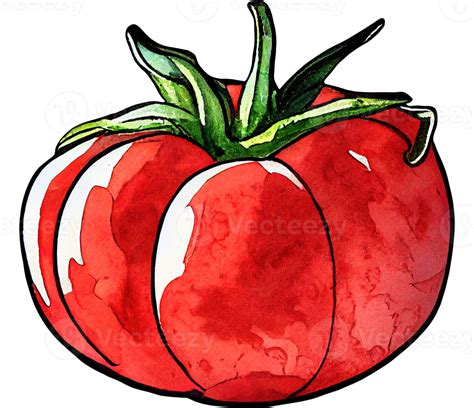 Free Watercolor Cartoon Tomato 12639521 Png With Transparent Background