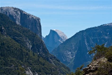 November Obscura Tioga Pass Yosemite