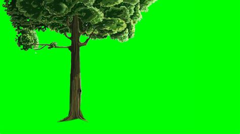 Tree Animated Green Screen Youtube