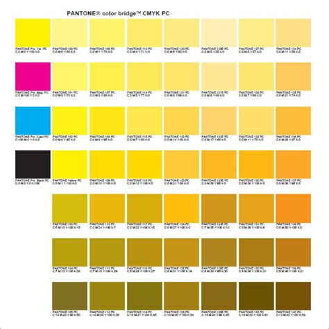 Pantone Coated Color Chart Pdf A Visual Reference Of Charts Chart Master