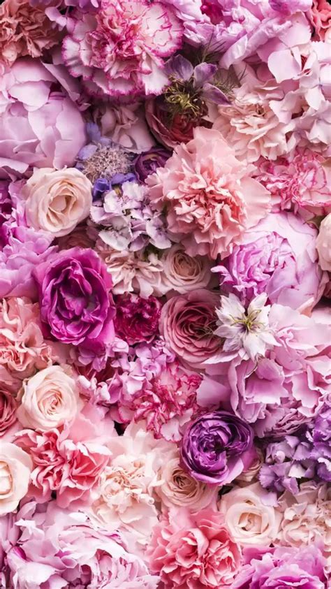 3064x2068 musik blumen instrumente flã¶te rosen rosa rose noten 1920x1080 hintergrundbild. Rosa | Blumen hintergrund iphone, Blumen hintergrund ...