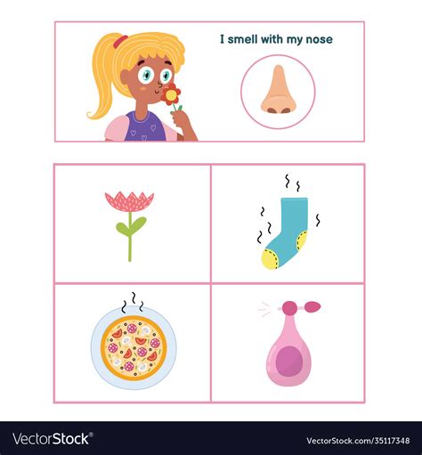 Five Senses Poster Smell Sense Presentation Page Vector Image