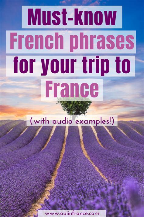 Basic French language travel phrases for a trip to France (AUDIO ...