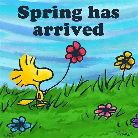 Pin By 👑 Cheryl Silva Burrhus 👑 On Spring Has Sprung Snoopy Pictures