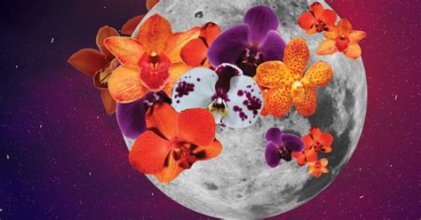 9 Ways To Harness The Sexual Energy Of Tonights Full Moon Mindbodygreen