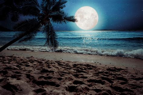 Beautiful Fantasy Tropical Beach With Star And Full Moon In Night Skies