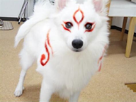 Okami Cosplay Its For The Dogs Cosplay Anime Cosplay Amazing Cosplay