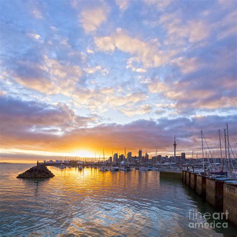 Sunrise Over Westhaven Marina Auckland New Zealand Photograph By Colin