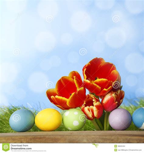 Tulips And Easter Eggs Stock Photo Image Of Color Spring 38602494