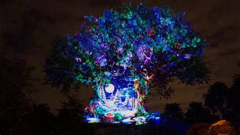 Disneys Animal Kingdom Tree Of Life Holiday Awakening Full Show Youtube