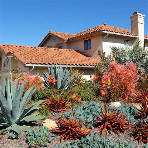 Drought Tolerant Landscaping The Home Depot