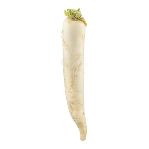 Save On Radishes White Daikon Order Online Delivery GIANT