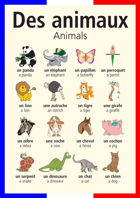 An Animal Poster With Different Types Of Animals On Its Back Side And