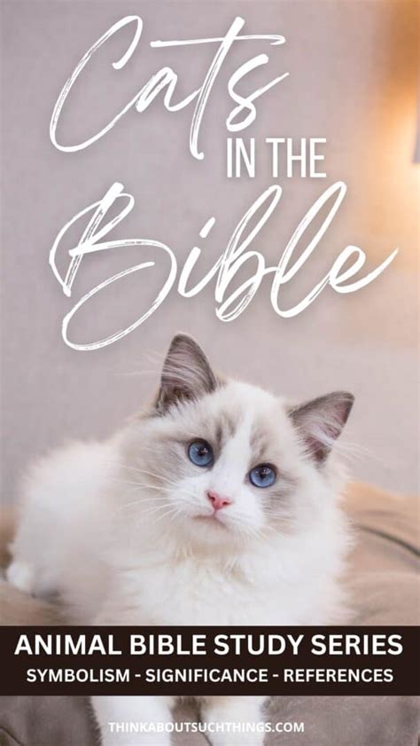 Cats In The Bible Symbolism References And Meaning Think About Such