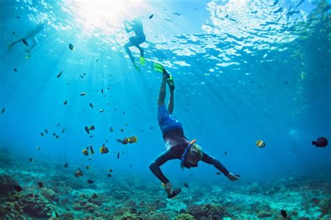 Top 18 Best Places To Snorkel In Maui 2022