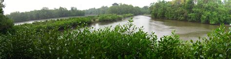 We hope teachers and parents would find them useful in helping children better. File:Sungei Buloh Wetland Reserve Interior panorama.jpg ...