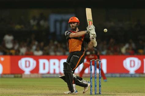 Rcb Vs Srh Match 54 Ipl 2019 Cricket Photos