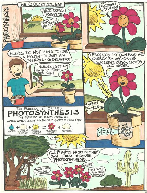 Proyecto Bilingüe Nuestra Señora De Belén Photosynthesis Comic 3rd Grade