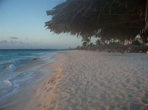 Eagle Beach E Palm Beach Aruba La Spiaggia Più Bella Dei Caraibi