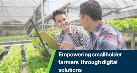 Empowering Smallholder Farmers Through Digital Solutions