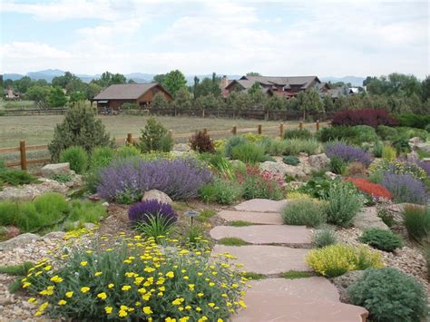Xeriscape Landscaping Longmont Co Photo Gallery Landscaping Network
