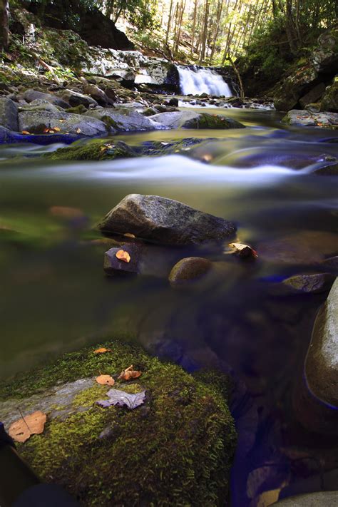 Hidden Forest Waterfall Leaves Rocks Stream Waterfalls Free Nature