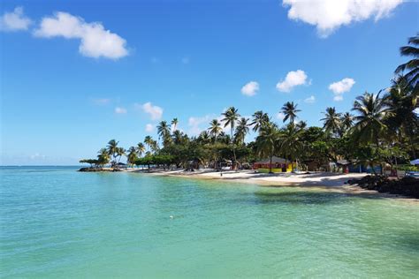 Sunspree Resort Relaxing Fun In The Tobago Sun