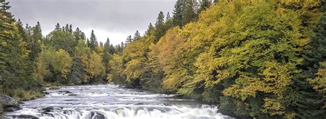 With no shortage of activities to try, it's a park that deserves to be on anyone's list when making plans for a vacation. Lake Francis State Park Guide | Outdoorsy
