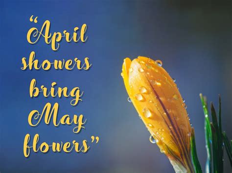 April Showers Bring May Flowers Lewolang
