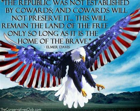 Pin By Kid On God Bless America Bald Eagle Eagle American Flag