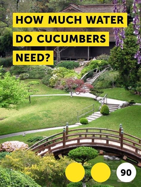 The best way to water trees and shrubs is to place a hose by the base of the plant and set at a slow trickle. Learn How Much Water Do Cucumbers Need? | How to guides ...