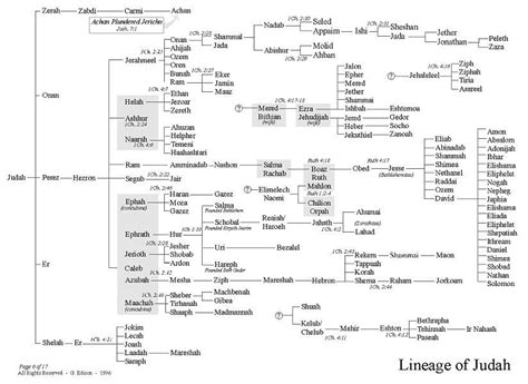 Lineage Of Judah Scripture Study Biblical Teaching Bible Study