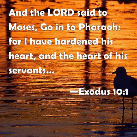 exodus 10 1 and the lord said to moses go in to pharaoh for i have hardened his heart and the