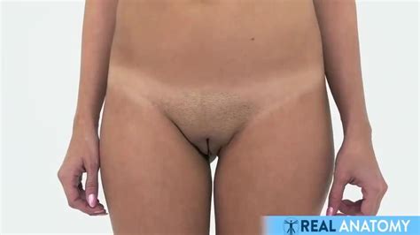 Real Female Anatomy Visual Examination Of The Vulva And Pelvic Areas Porn Videos