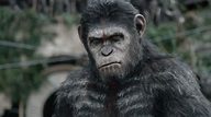 Apes Revolution - Il pianeta delle scimmie: trama, cast, trailer e ...