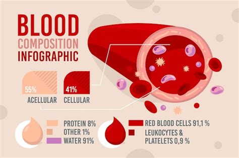 Free Vector Composition Of Blood Infographic
