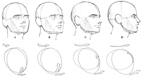08a Cabeça Figuras Humanas Referência Anatomia Corpo Ideal