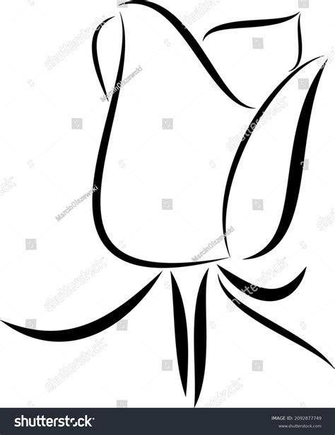 Black White Rose Vector Graphics Stock Vector Royalty Free 2092877749
