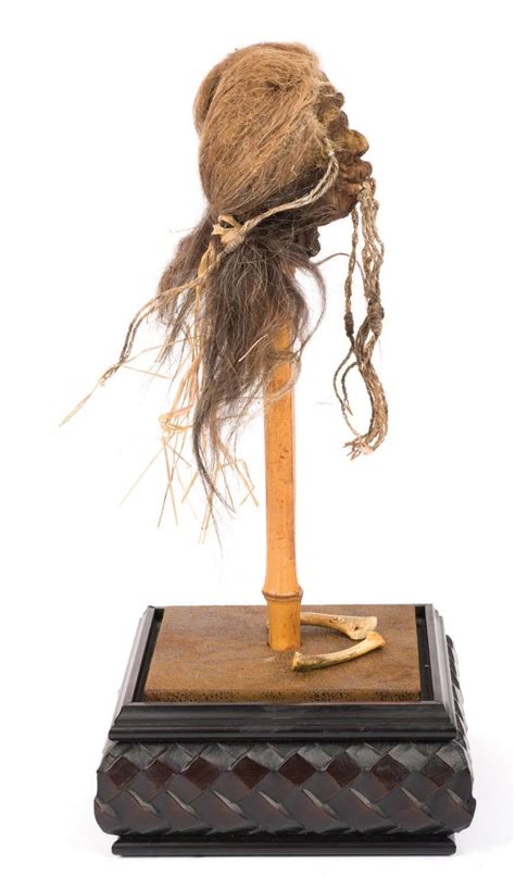 A Jungle Cruise Shrunken Head Prop