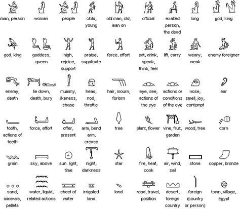 Egyptian Hieroglyphs All History Now