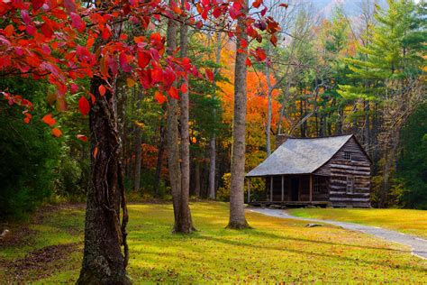 Cabin In Autumn Forest