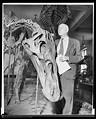 Barnum Brown | Paleontology, Prehistory, Jurassic park world