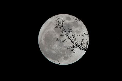 Free Download Hd Wallpaper Full Moon Photo Of Moon Lunar Black